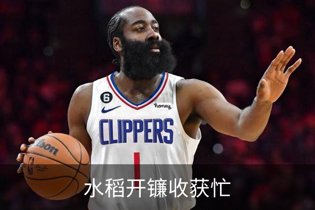 水稻开镰收获忙